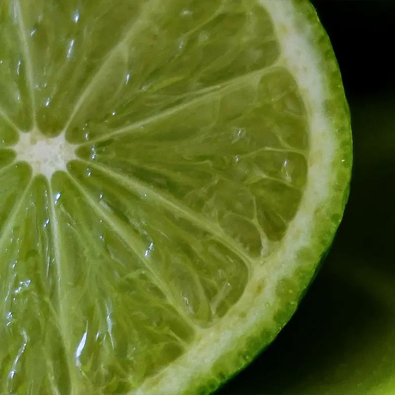 Limone Verdello IGP dell'Etna BIO Kg 9,5 - immagine 2