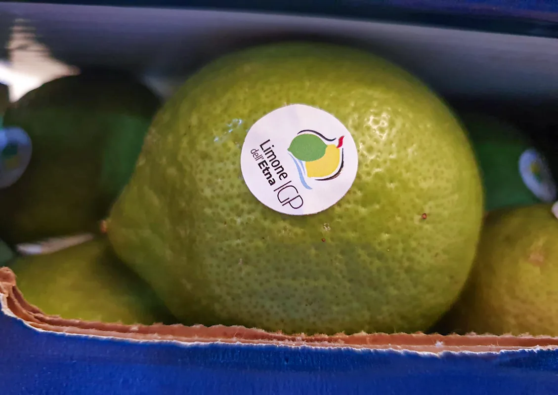 Verdello IGP dell'etna